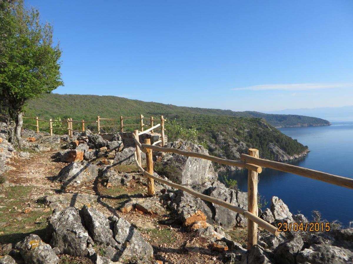 Apartament Sara - *
